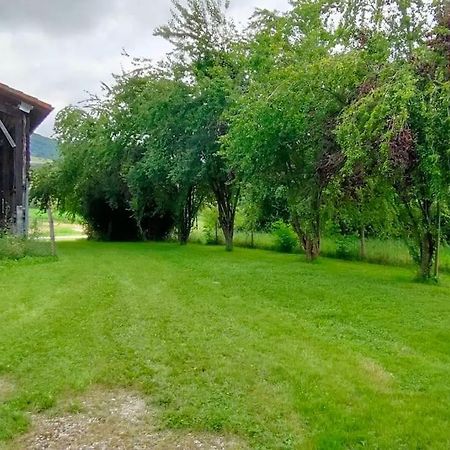 Вилла Superbe Demeure Au Coeur Des Pyrenees Ariegeoises Montels  Экстерьер фото